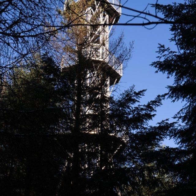 Die Wochenendrunde war super.
Details auf meinem Blog.......

https://tobis-touren.de/der-himmelsleiter-und-die-kirchenruine

#nature #aussichtsturm #wald #turnaround #Hessen #hessentourismus