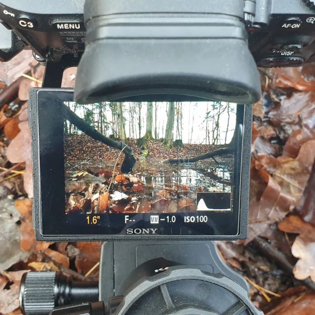 Heute Mittag noch fix ne Runde gedreht ;)

#incoming #fotowalk #inarbeit #natur #naturephotography